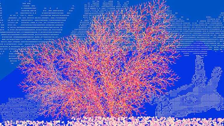 sea fan(L-System) & sea slug(ASCII Image)