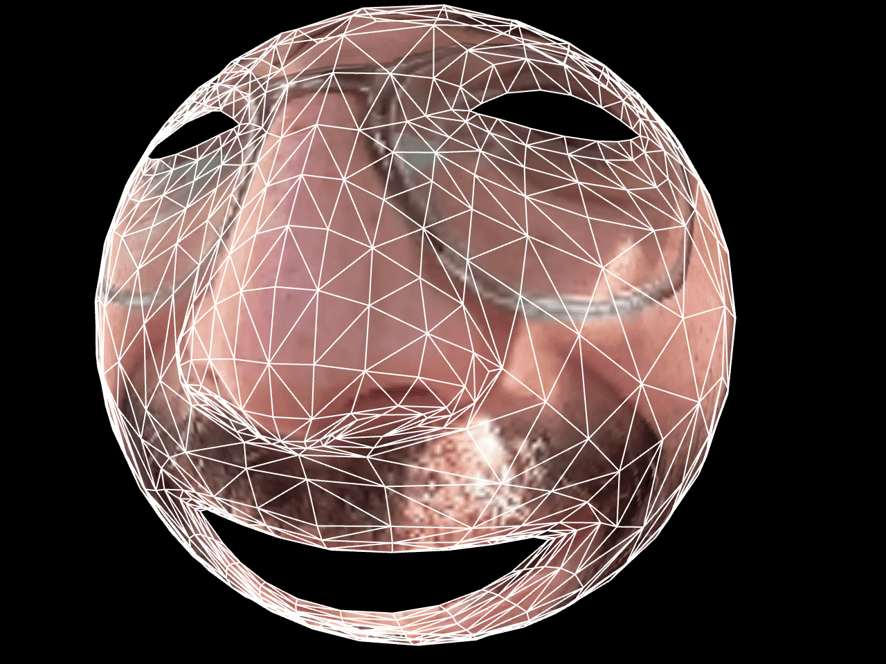 "FaceMesh - Stretch and Skew" code example