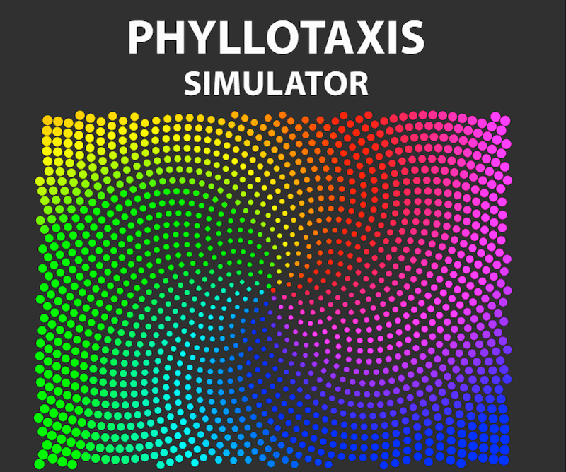 Phyllotaxis Spiral Simulator in MATLAB!